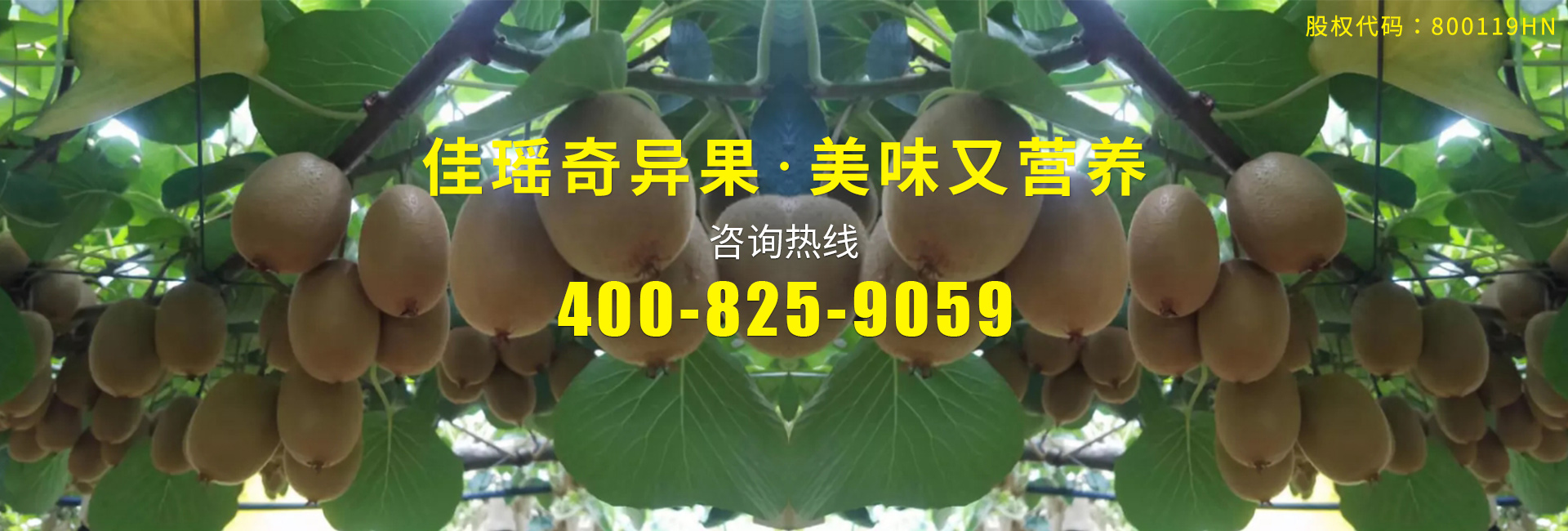 美味佳瑤 美味佳瑤